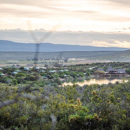 Buffelsdrift Game Lodge Oudtshoorn Bagian luar foto