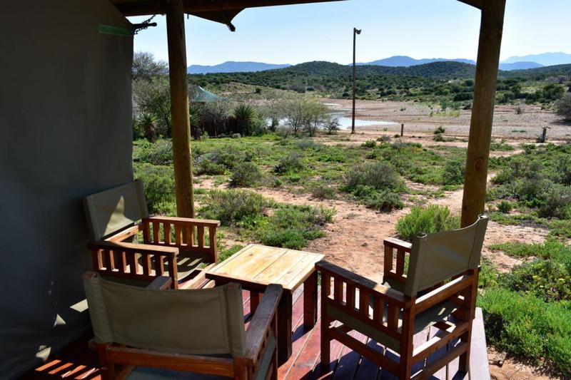 Buffelsdrift Game Lodge Oudtshoorn Ruang foto